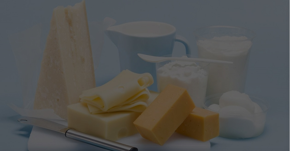 Dairy